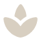 Image without alt