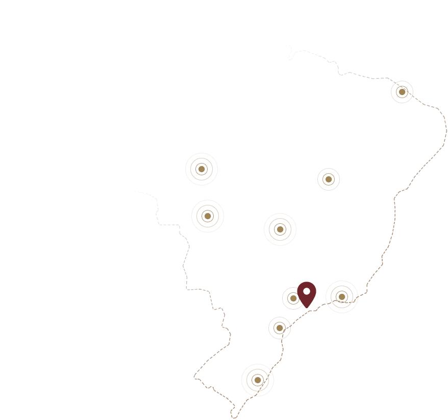 Image without alt